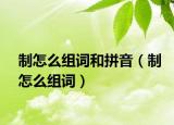 制怎么组词和拼音（制怎么组词）