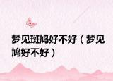 梦见斑鸠好不好（梦见鸠好不好）