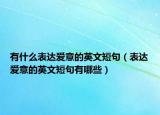有什么表达爱意的英文短句（表达爱意的英文短句有哪些）