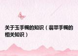 关于玉手镯的知识（翡翠手镯的相关知识）