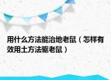 用什么方法能治地老鼠（怎样有效用土方法驱老鼠）