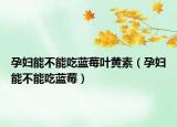 孕妇能不能吃蓝莓叶黄素（孕妇能不能吃蓝莓）