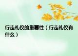 行走礼仪的重要性（行走礼仪有什么）