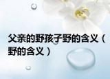 父亲的野孩子野的含义（野的含义）
