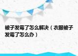 被子发霉了怎么解决（衣服被子发霉了怎么办）
