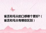 雀舌和毛尖的口感哪个更好?（雀舌和毛尖有哪些区别）