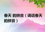 春天 的拼音（词语春天的拼音）