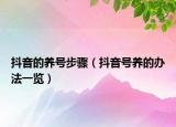 抖音的养号步骤（抖音号养的办法一览）