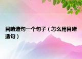 目睹造句一个句子（怎么用目睹造句）
