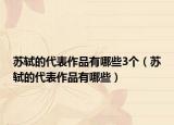 苏轼的代表作品有哪些3个（苏轼的代表作品有哪些）
