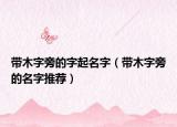 带木字旁的字起名字（带木字旁的名字推荐）