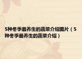 5种冬季最养生的蔬菜介绍图片（5种冬季最养生的蔬菜介绍）