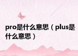 pro是什么意思（plus是什么意思）