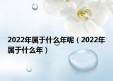 2022年属于什么年呢（2022年属于什么年）