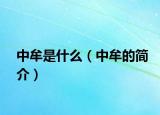 中牟是什么（中牟的简介）