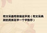 有文采最有意境名字男（有文采典故的男孩名字一个字推荐）