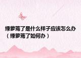 绿萝蔫了是什么样子应该怎么办（绿萝蔫了如何办）