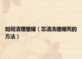 如何清理珊瑚（怎清洗珊瑚死的方法）