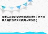 虞美人在北方室外冬季怎样过冬（冬天虞美人养护方法冬天虞美人怎么养）