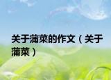 关于蒲菜的作文（关于蒲菜）