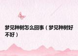 梦见种树怎么回事（梦见种树好不好）