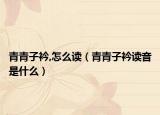 青青子衿,怎么读（青青子衿读音是什么）