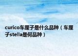 curico车厘子是什么品种（车厘子stella是何品种）