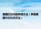 美国红牡丹的养殖方法（养植美国大红牡丹方法）