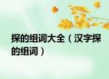 探的组词大全（汉字探的组词）