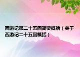 西游记第二十五回简要概括（关于西游记二十五回概括）