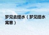 梦见去提水（梦见提水寓意）