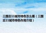 三国志11城市特色怎么看（三国志11城市特色作用介绍）