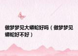 做梦梦见大蟒蛇好吗（做梦梦见蟒蛇好不好）