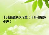 十升油是多少斤重（十升油是多少斤）