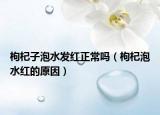 枸杞子泡水发红正常吗（枸杞泡水红的原因）