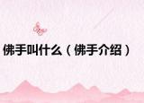 佛手叫什么（佛手介绍）