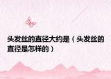 头发丝的直径大约是（头发丝的直径是怎样的）