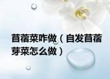 苜蓿菜咋做（自发苜蓿芽菜怎么做）