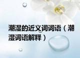 潮湿的近义词词语（潮湿词语解释）