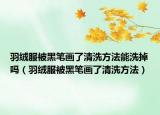 羽绒服被黑笔画了清洗方法能洗掉吗（羽绒服被黑笔画了清洗方法）