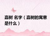 嘉树 名字（嘉树的寓意是什么）