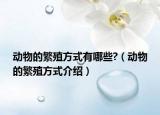 动物的繁殖方式有哪些?（动物的繁殖方式介绍）