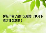 梦见下雪了是什么意思（梦见下雪了什么意思）