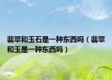 翡翠和玉石是一种东西吗（翡翠和玉是一种东西吗）