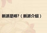 新派是啥?（新派介绍）