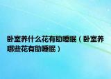 卧室养什么花有助睡眠（卧室养哪些花有助睡眠）