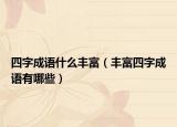 四字成语什么丰富（丰富四字成语有哪些）