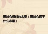 黑加仑相似的水果（黑加仑属于什么水果）