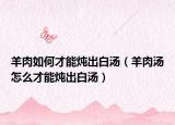 羊肉如何才能炖出白汤（羊肉汤怎么才能炖出白汤）