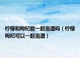 柠檬和枸杞能一起泡酒吗（柠檬枸杞可以一起泡酒）